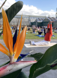 5_Yoga_für_Artenvielfalt_BO_22_Mai_3 b