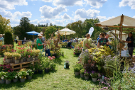 Berlinerstaudenmarkt Botanischer Garten