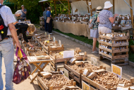 Berlinerstaudenmarkt Botanischer Garten