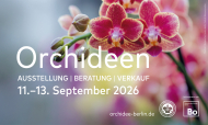 Orchideenschau