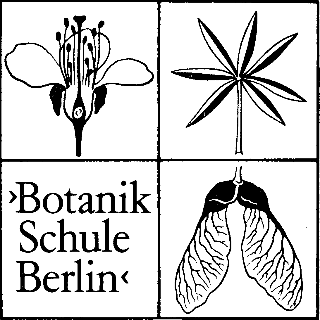 Logo Botanikschule Berlin Logo Botanikschule Berlin