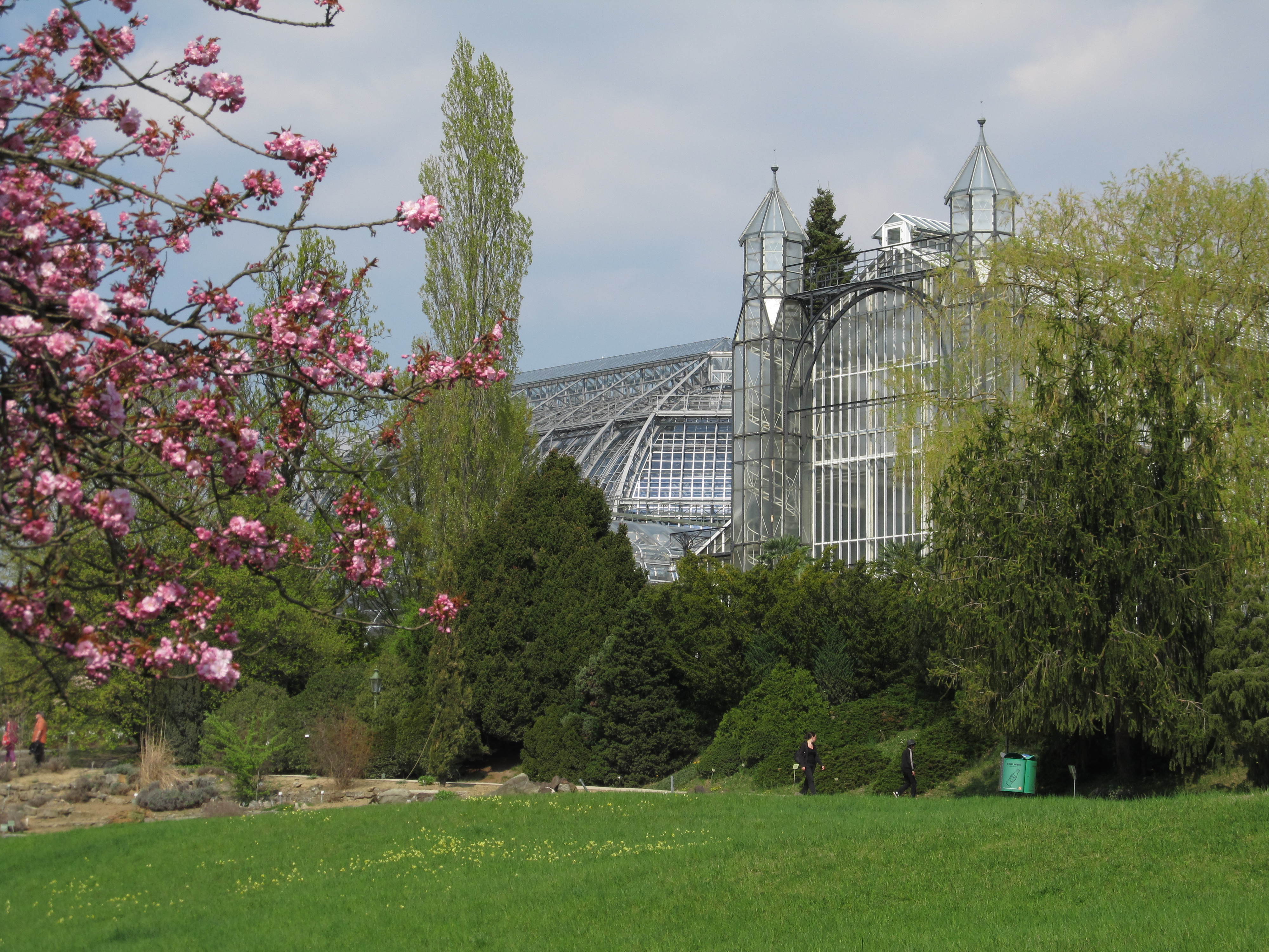 Frühling: Blick auf das Mittelmeergewächshaus
