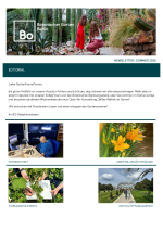 Sommer Newsletter 2026