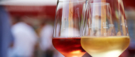 Wein Gläser