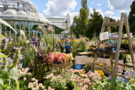Berlinerstaudenmarkt Botanischer Garten