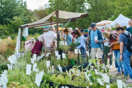 Berlinerstaudenmarkt Botanischer Garten