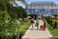 Berlinerstaudenmarkt Botanischer Garten