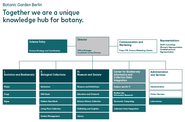 organizational chart Organisational Structure ZE BGBM