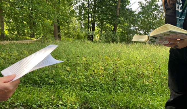 <p>Lesen im Garten</p>