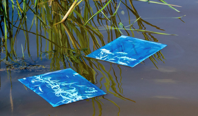 <p>Zwei Blätter Papier mit Cyanotypie-Druck auf einem natürlichen Gewässer schwimmend</p>