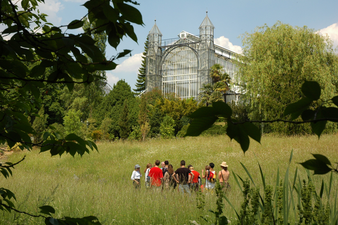 <p>Wiese mit Besuchergruppe</p>